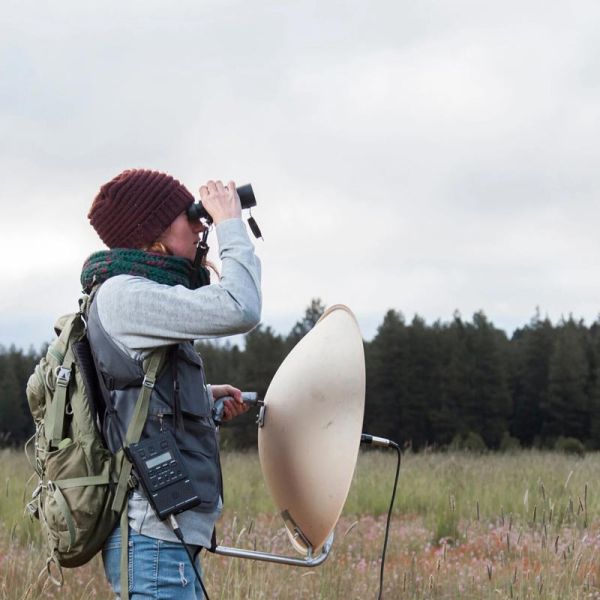 Friends Research Fund grant recipient Emily Lind in the field watching and listening for Vesper sparrows