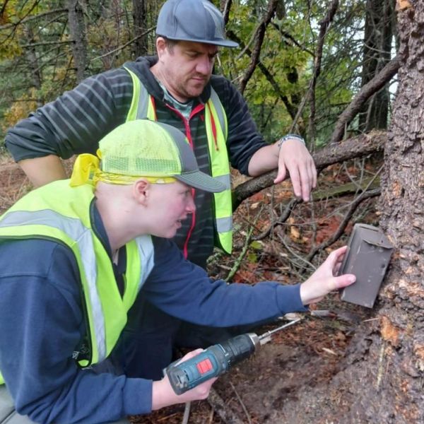 Friends Research Fund grant recipient Andrea Osbon working with a wildlife crossing camera